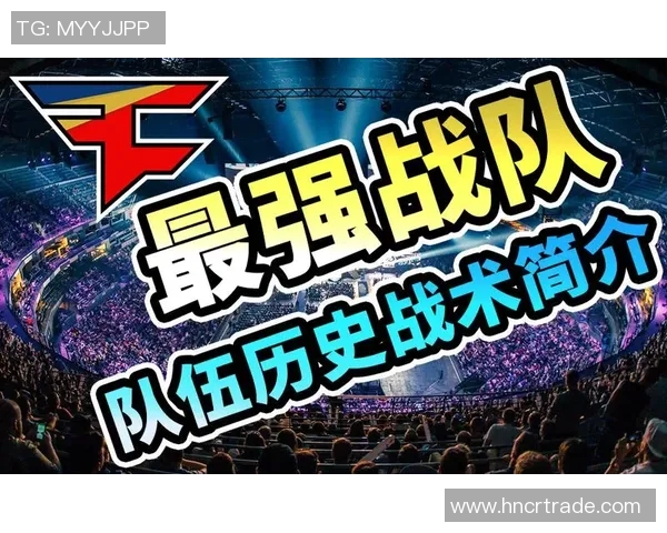 V5战队比赛经验深度对比分析与战术演变探讨