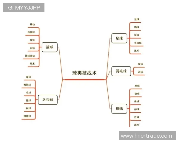 杭州排球队整体压制打法深度分析与战术解读