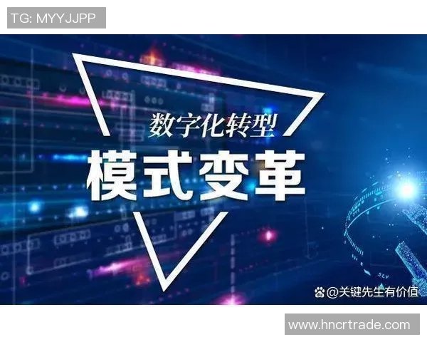 互联网时代数字化转型助力企业创新与高效发展新机遇