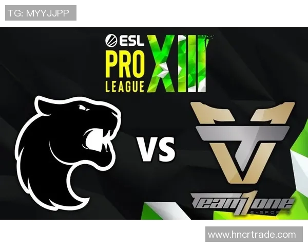 TES的成长之路：从新手到CSGO顶尖战队的奋斗历程