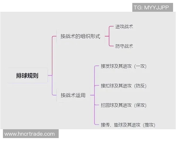 上海排球队进攻策略解析与战术创新的深度剖析